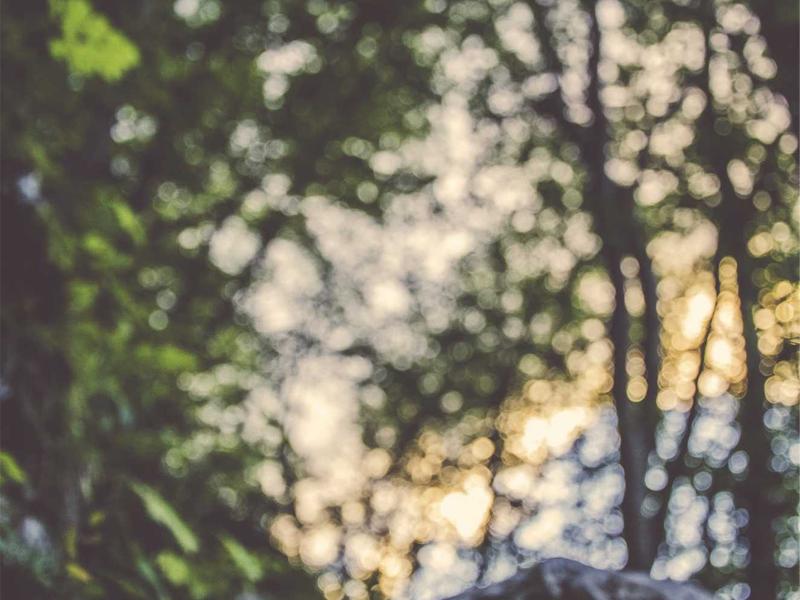 归去来兮<br>aamotnk.cn 田园将芜胡不归